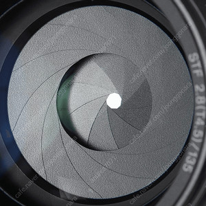 Minolta STF 135mm f/2.8 (T4.5) 미놀타 인물 촬영 꽃 촬영 특수 보케 렌즈