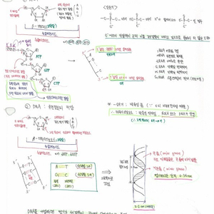 약대합격생 일반생물 필기노트(백분위:99.3%)-일반생물