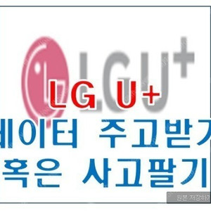 LGU+ LG 엘지유플러스 엘지데이터 2기가 2G 판매합니다. 3000원