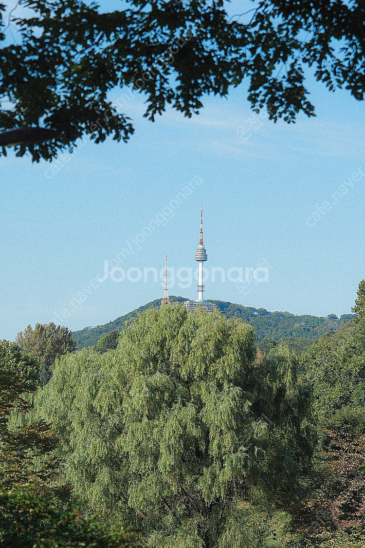 리코gr3--8