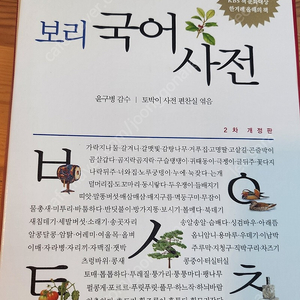 보리국어사전 2차개정판