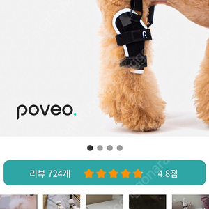 poveo 슬개골탈구 보호대 왼쪽