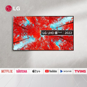 65UQ9000 LG 65인치 스마트TV 넷플릭스 유튜브 가능 22년식 신제품 1년무상AS
