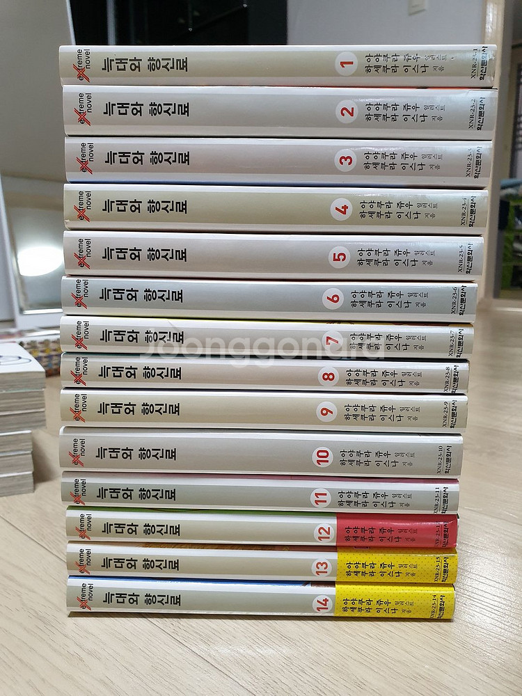 상태 A급 소장용 라이트노벨 (라노벨) 소설 판매 (제...--1