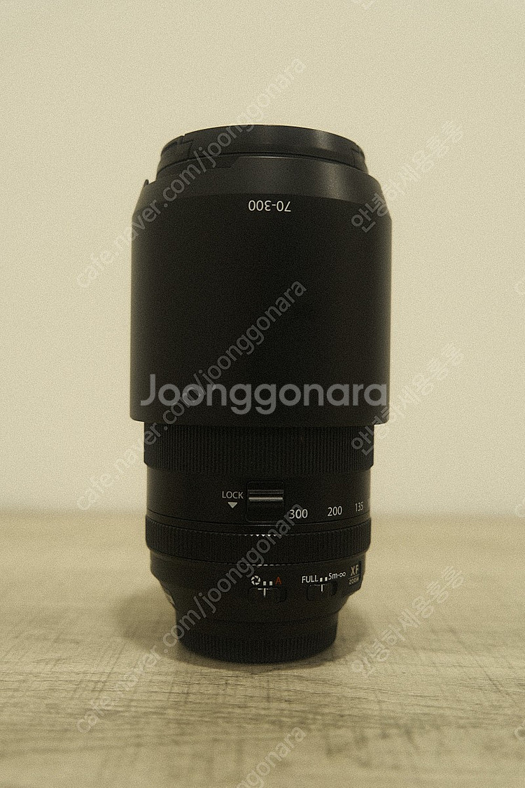 후지 XF70-300--1