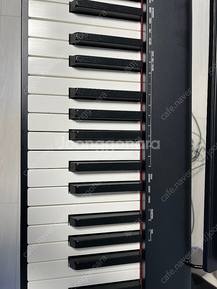 CASIO cdp-s100 건반 판매합니다:) !--3