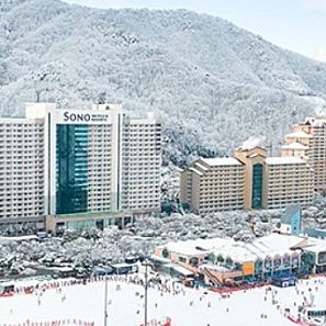 비발디파크 소노벨 B · C 패밀리 / 오크 취사 / 파크뷰 / 침대 - 12월 23~24일(2박3일) 판매합니다.