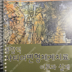 통합적 사티어변형체계치료 이론과 실제