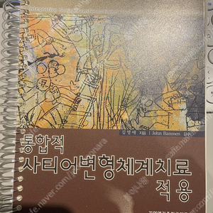 통합적 사티어변형체계치료 적용