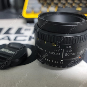 D40 카메라와 50mm 1.8 단렌즈