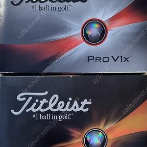 타이틀리스트 pro v1