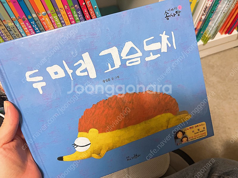 노래하는 솜사탕 판매합니다--8
