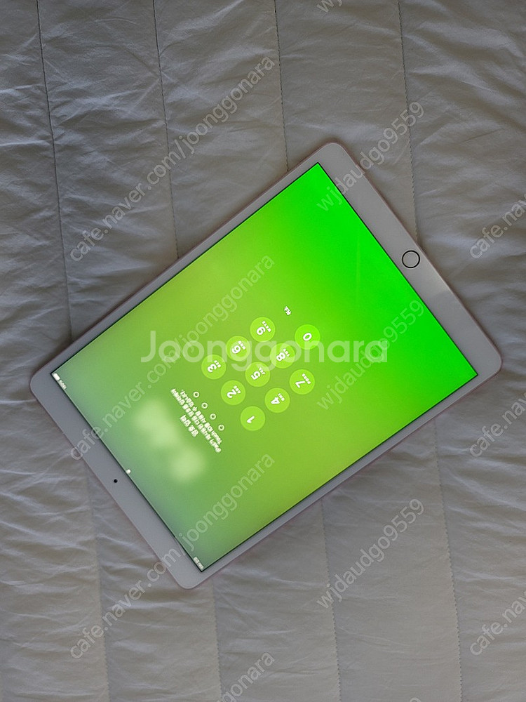 아이패드프로 10.5 256G 셀룰러모델 판매합니다--1