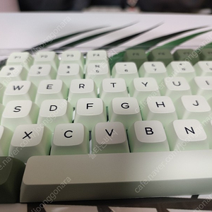 PBT 녹차 XDA 키캡 / 택포