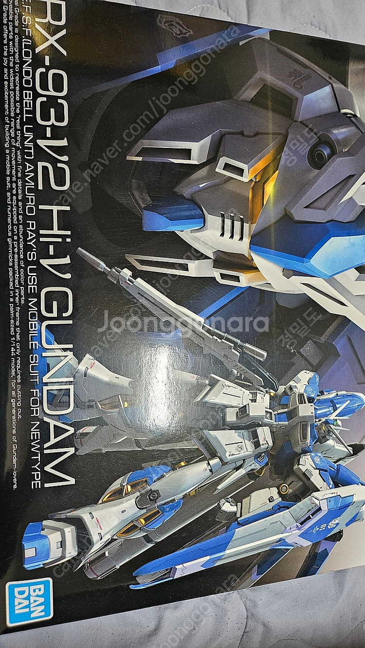 RG 하이뉴 새상품팝니다 델피데칼포함--0