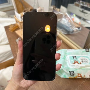 급처 아이폰12pro 128gb 시에라블루