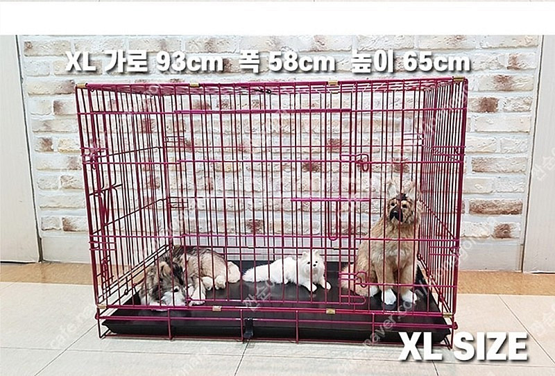강아지/고양이 철장 XL사이즈--0