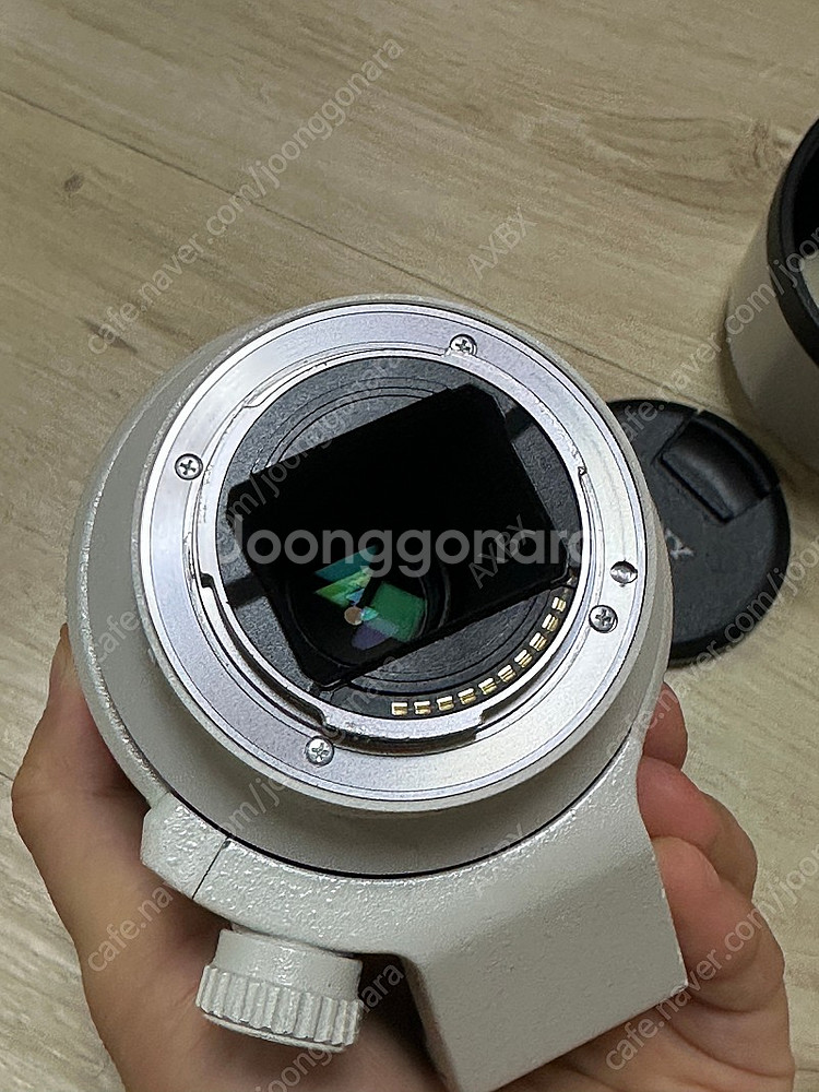소니 70-200 f4 G 렌즈--6