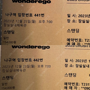 (정가양도) 크러쉬 12월 25일 2매 양도 나구역 441-442(스탠딩)