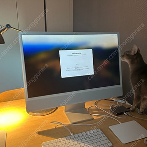 아이맥 24인치 iMac 2021 M1 8코어 256GB 기본형