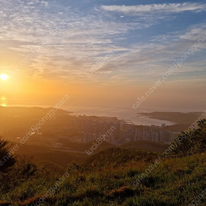 s23울트라 직거래로 구매원합니다(부산지역)