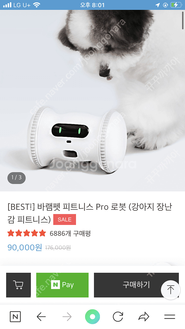 바람펫 피트니스--0