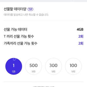 Skt 데이터 2기가 3000원