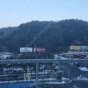 웰리힐리 리프틑권 4시간