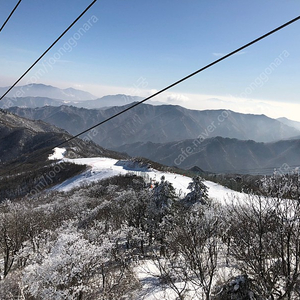 노빌레 n1 pro 158구매합니다~~~~~