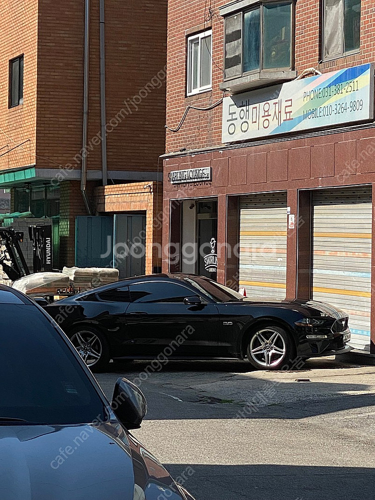 2020년식 포드 머스탱 gt 쿠페--0