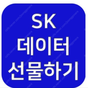 SK 데이터 2기가