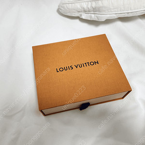 LOUIS VUITTON 루이비통 M61695 남자지갑