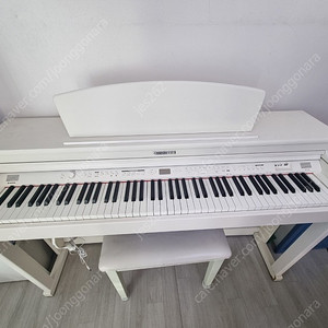 다이노톤 디지털 피아노 DPR-3160K