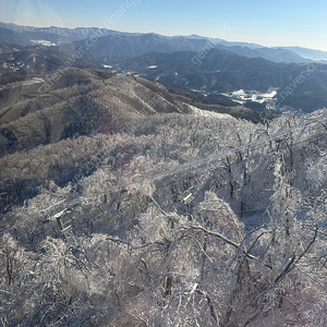 휘팍 시즌권 양도 (양도비포함)