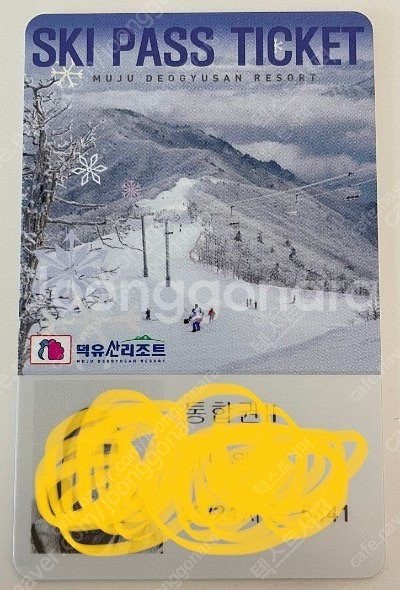 무주 시즌권 성인1매 (통합권2)--0