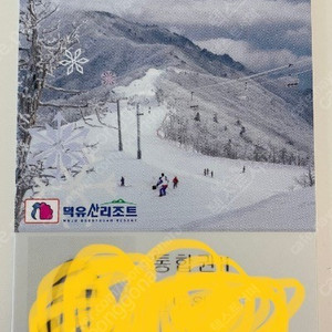 무주 시즌권 성인1매 (통합권2)