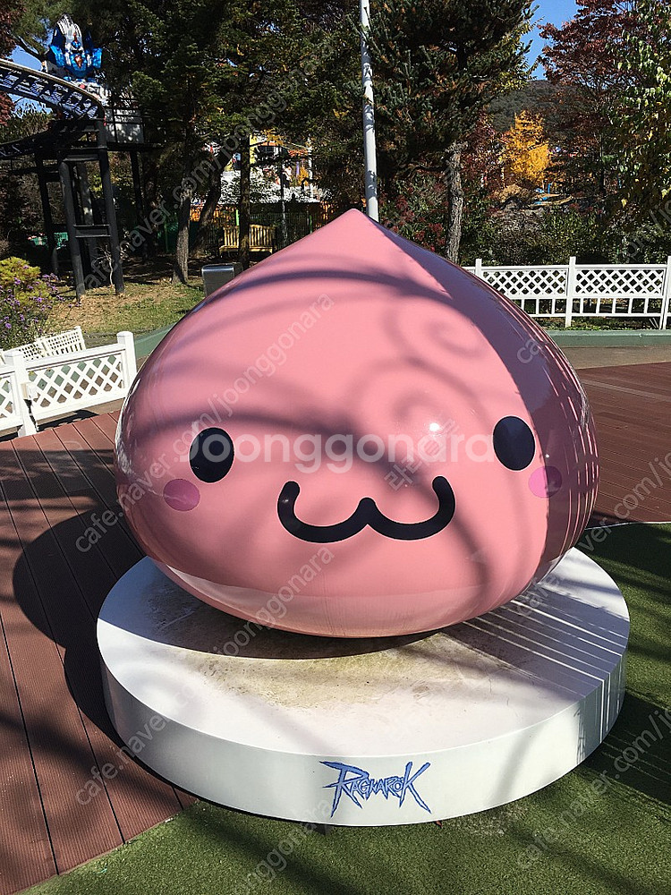 가요대전대행 양도--0