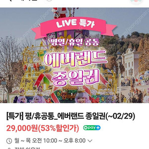 에버랜드 자유이용권