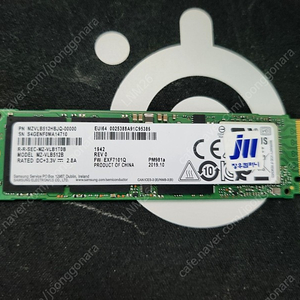 SAMSUNG PM981 512GB 택포3.3