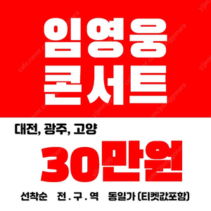 [30만원] 임영웅 콘서트 대전,광주,고양 선착순