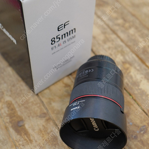 캐논 EF 85mm 1.4 손만두