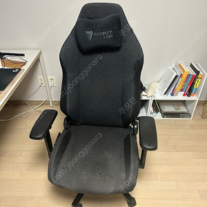 [22만원]시크릿랩 타이탄 XL 2020 패브릭 의자 판매합니다(실사용, 내용반드시필독!!!)