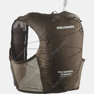 [구합니다] PNS x Salomon Active Skin 8 Bag