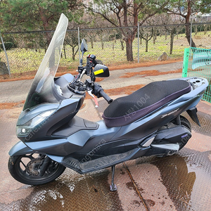 [일산] 혼다 PCX125 21년식 29000키로