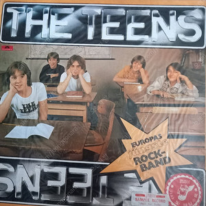 the teens pablo cruise 미개봉LP