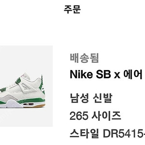 나이키 SB Retro Pine Green 265