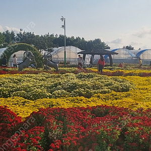 조용기목사님 설교전집과 강해전집 구합니다.