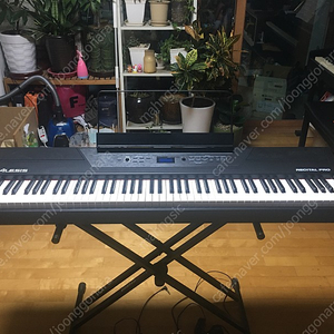 알레시스 alesis recital pro 88해머건반