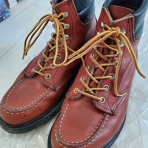 redwing 레드윙 8804 6.5E(245) 슈퍼솔 팝니다.