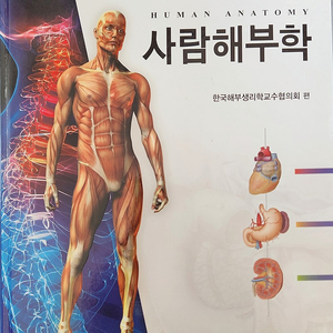 사람해부학 4판 현문사